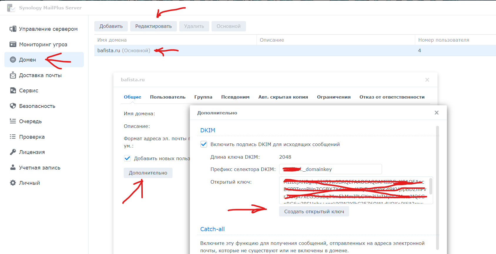 DKIM-подпись. DKIM запись для домена. Synology почтовый сервер. Добавление DKIM-ключа в параметры DNS-сервера.