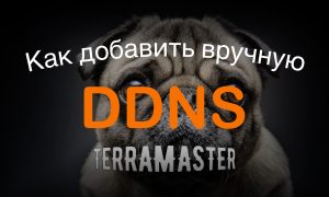 Read more about the article TerraMaster как добавить собственного поставщика DDNS