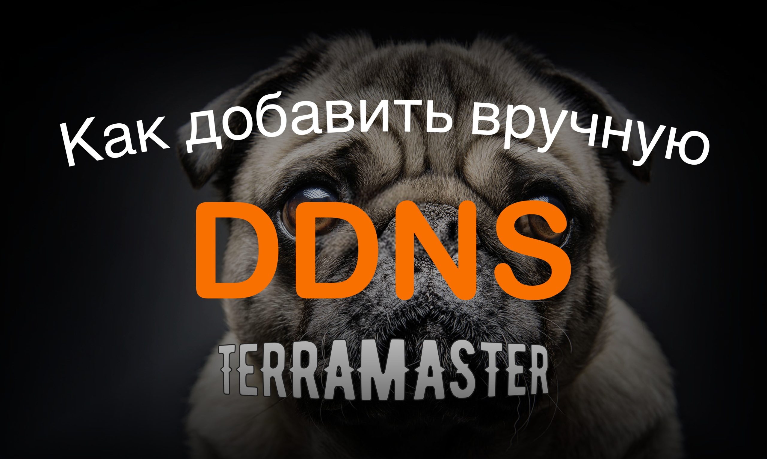 Read more about the article TerraMaster как добавить собственного поставщика DDNS