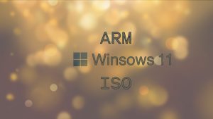 Read more about the article Скачать Windows 11 ARM и AMD64 23H2 ISO образ