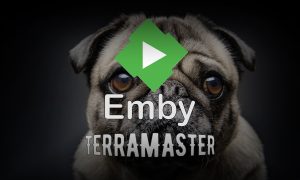 Read more about the article TerraMaster медиасервер Emby