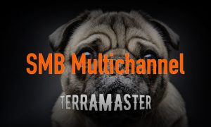 Read more about the article SMB Multichannel на TerraMaster