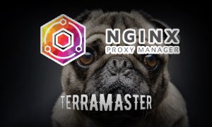 Read more about the article Установка Nginx Proxy Manager на TerraMaster