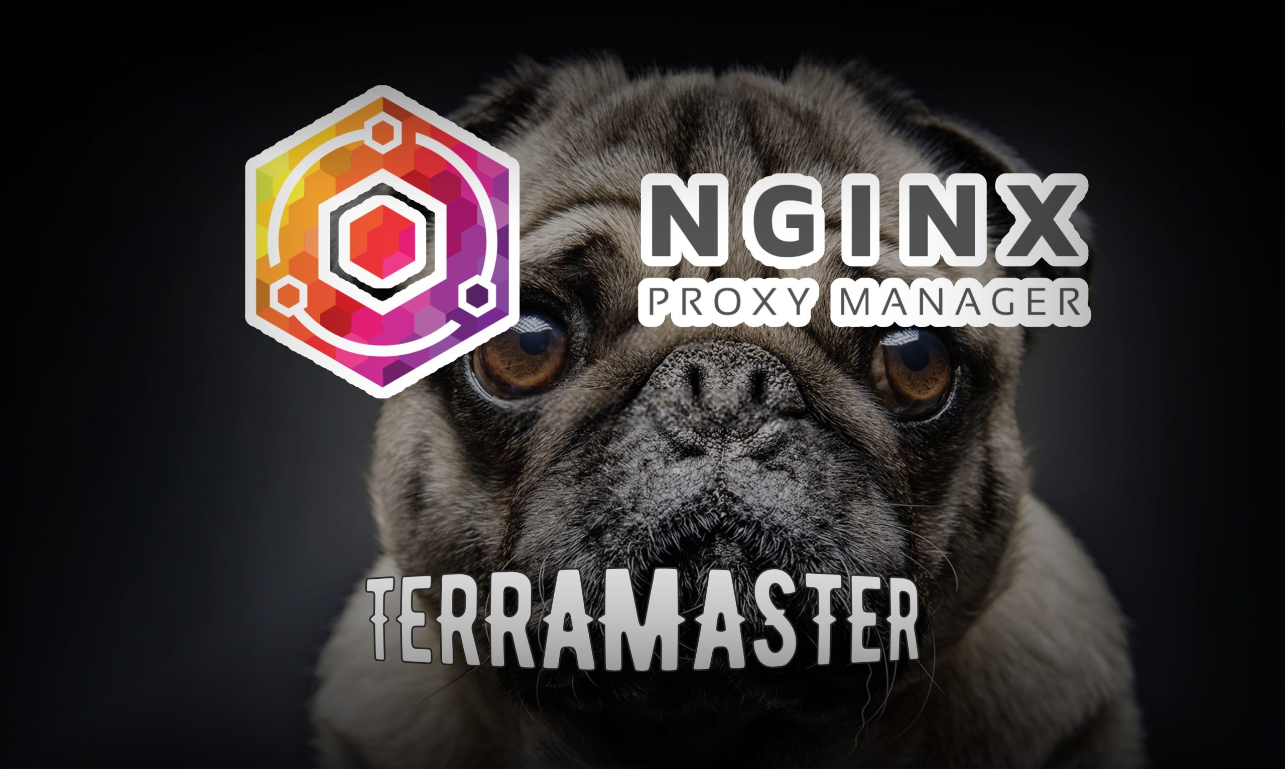 Установка Nginx Proxy Manager на TerraMaster • Александр Linux