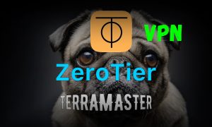 Read more about the article TerraMaster установка ZeroTier или как подключаться без белого адреса