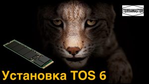 Read more about the article Установка TOS 6 от TerraMaster на M2 NVME SSD диски